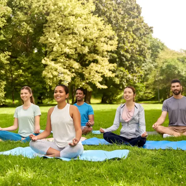 group-people-doing-yoga-summer-park (1)